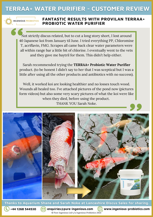 Probiotic Water Purifier - Koi Carp Pond (TERRAA+ is Provilan Earth) | Ingenious Probiotics