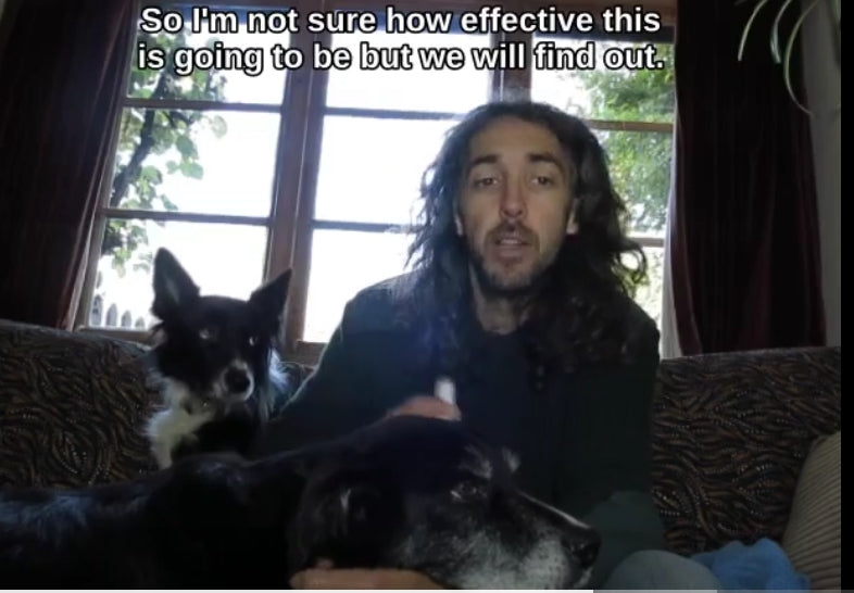 LUCAA+ Dental and Allergen-Free - Video Testimonial | Ingenious Probiotics