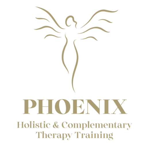 understanding our toxic world - video