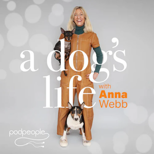 The Science of Healthy Bacteria for Pet-Friendly Spaces | Ingenious Probiotics