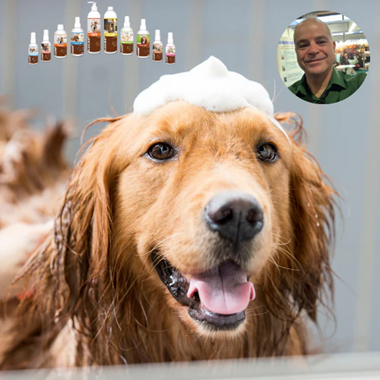 Introducing pet probiotics for external use