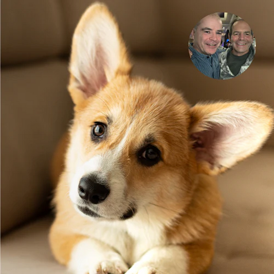 A Vet's View - Probiotics for Repeat Ear Infections