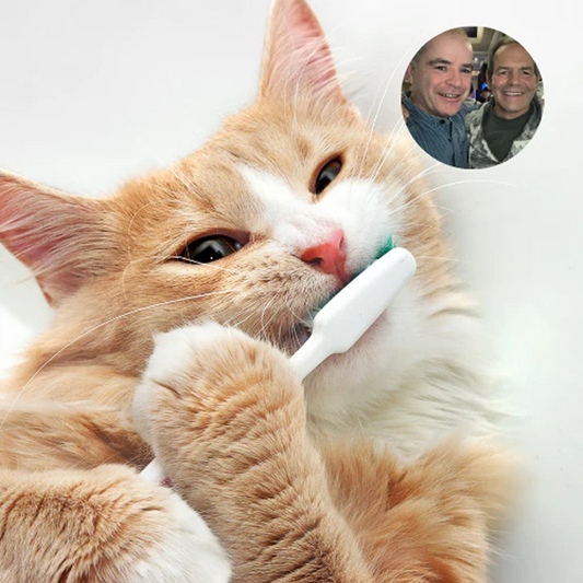 A Vet's View - How Pet Dental Health Impacts Whole-Body Wellness