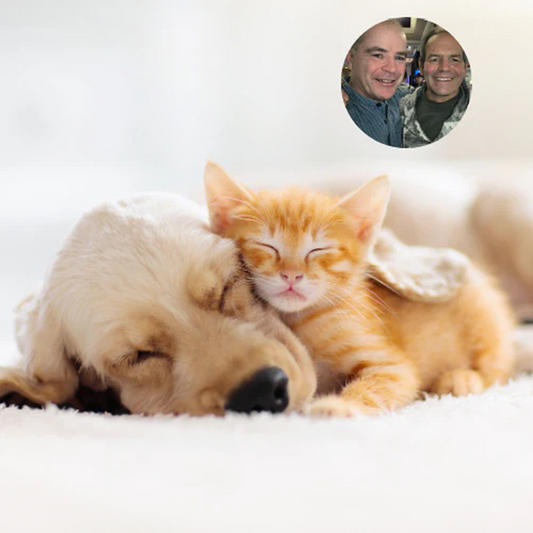 A Vet's View - Probiotics and Pet Skin Health | Ingenious Probiotics