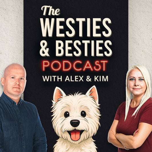Is Your Cleaning Routine Making Your Dog Itchier? | Ingenious Probiotics
