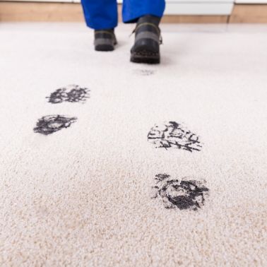 How Probiotic Floor Cleaning Improves Hygiene Between Cleans | Ingenious Probiotics