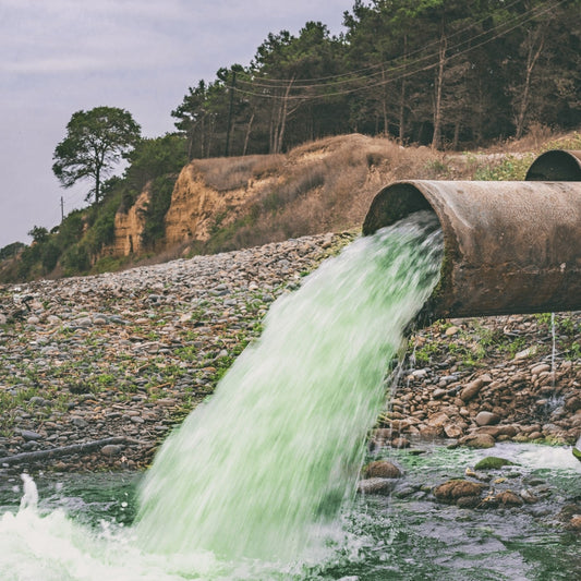 As Chemical Pollution Becomes Unsafe, Probiotics Can Help | Ingenious Probiotics