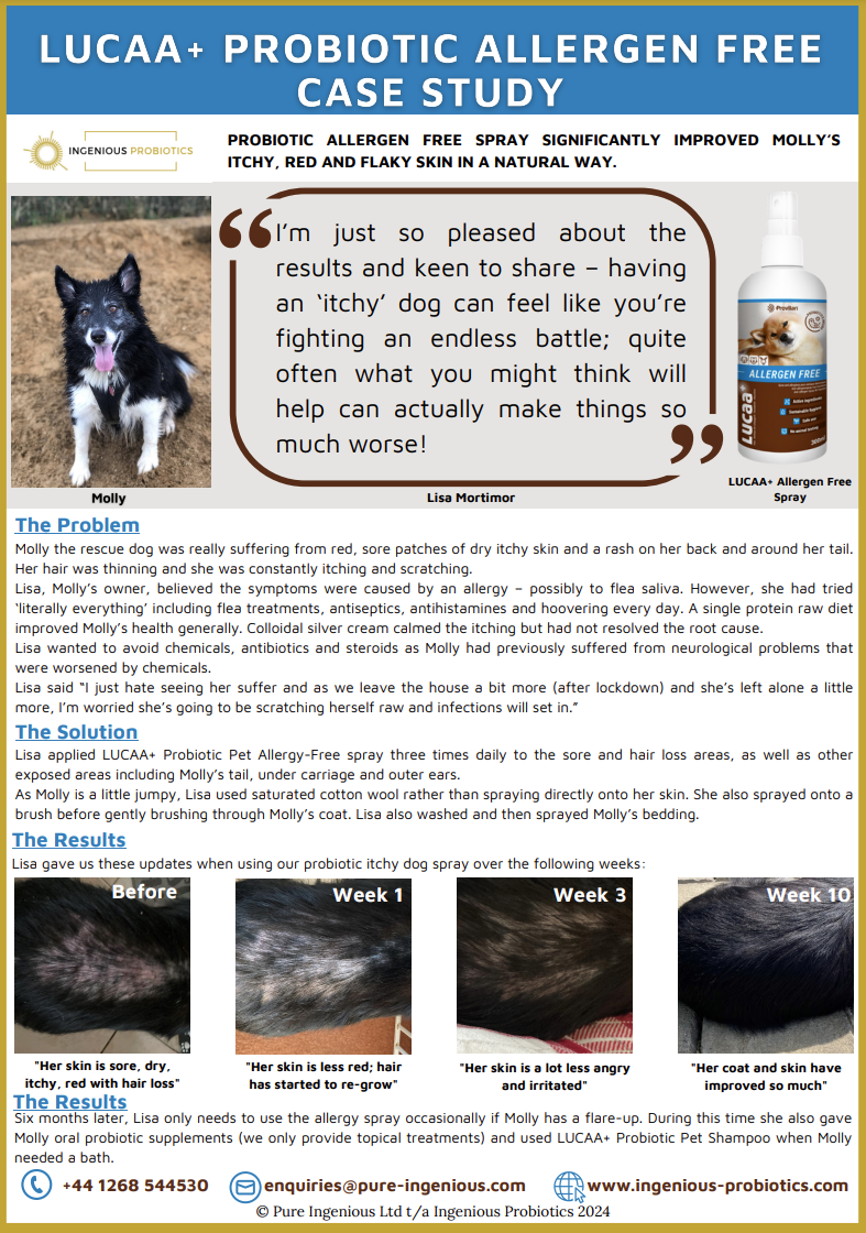 Probiotic Pet Spray Relieves Molly’s Itchy Skin & Hair Loss | Ingenious Probiotics