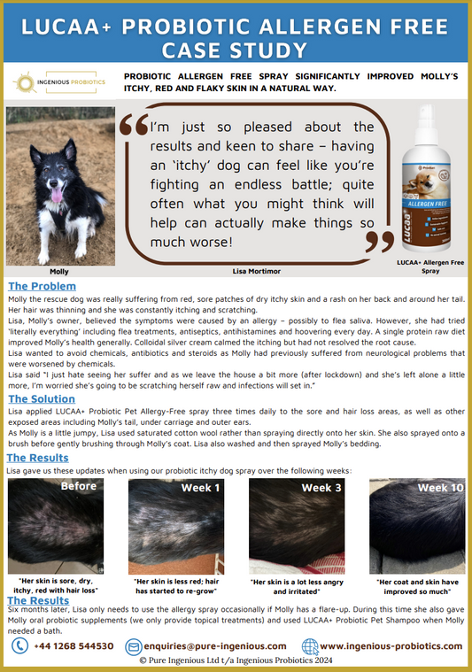 Probiotic Pet Spray Relieves Molly’s Itchy Skin & Hair Loss | Ingenious Probiotics