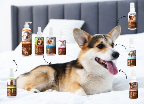 Dog surrounded by probiotic pet care sprays illustrating microbial balance on skin and surfaces