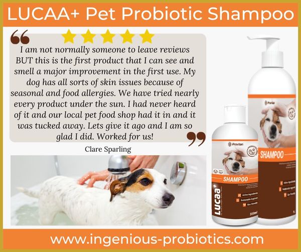 LUCAA+ Pet Shampoo - Dog with Skin Allergies | Ingenious Probiotics
