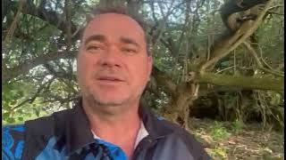 The History & Creation of Tvati Pet on the Cook Islands