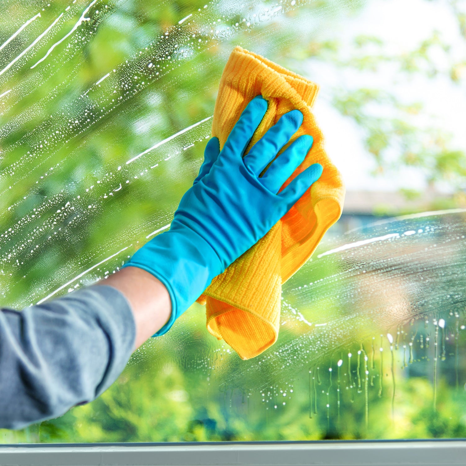 Probiotic Home Cleaning Products