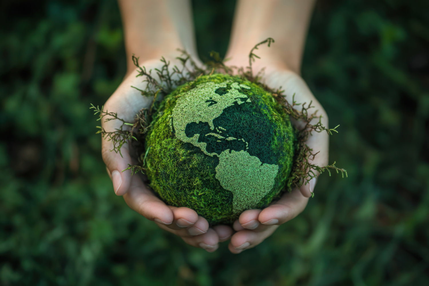 Bioremediation of Soil and Water