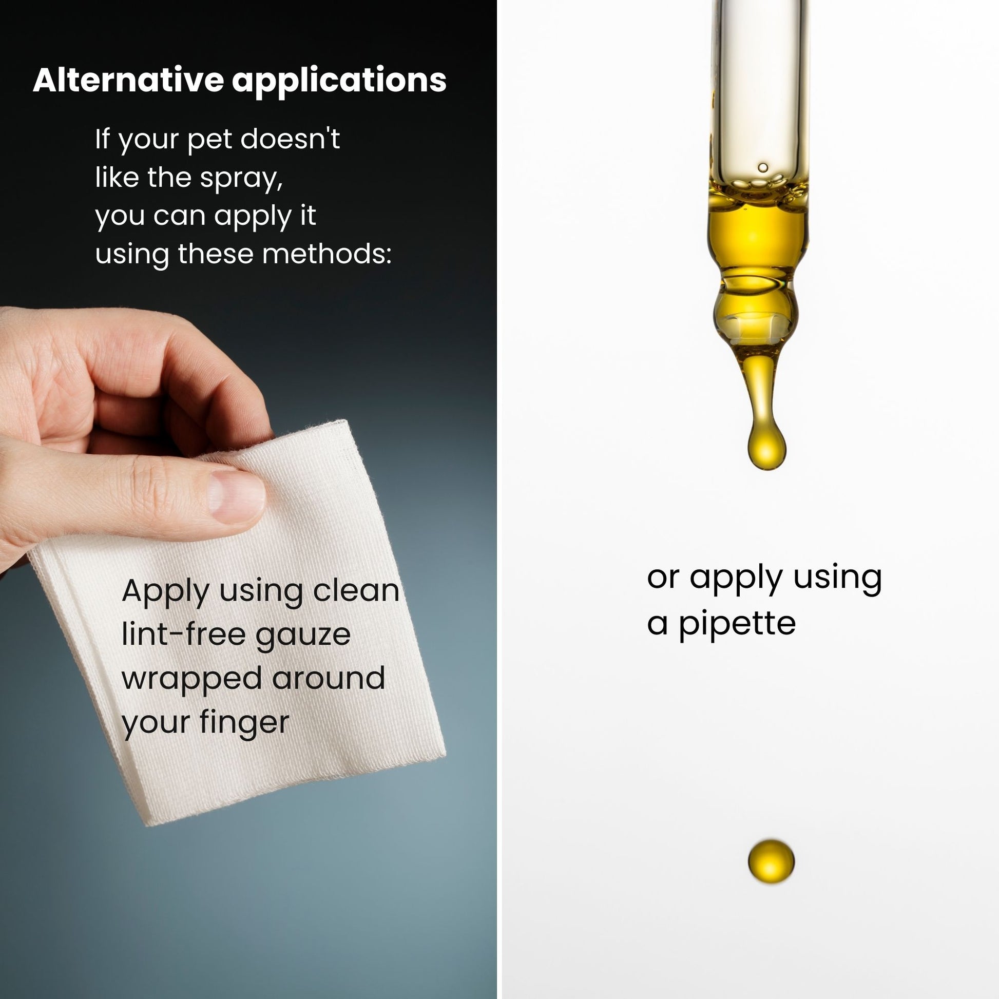 Alternative probiotic dental care application using gauze or pipette for pets that dislike spray application