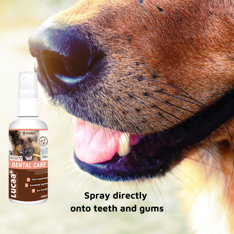 Pet Probiotic Dental Care - 100ml Spray