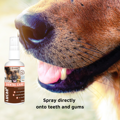 Pet Probiotic Dental Care - 100ml Spray