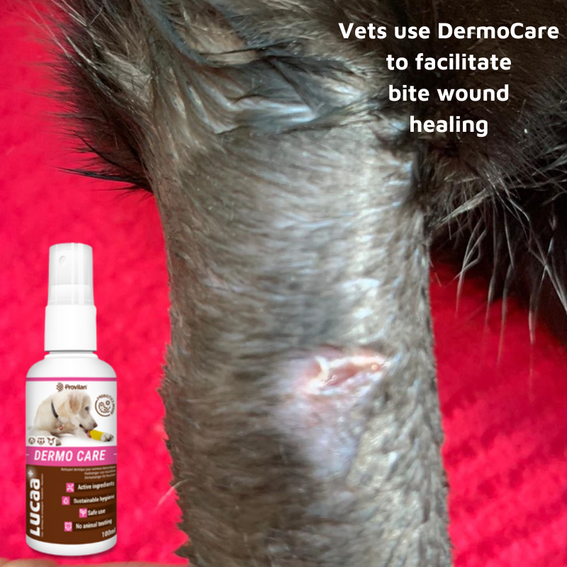 Pet Probiotic Dermo (Wound) Care - 100ml Spray