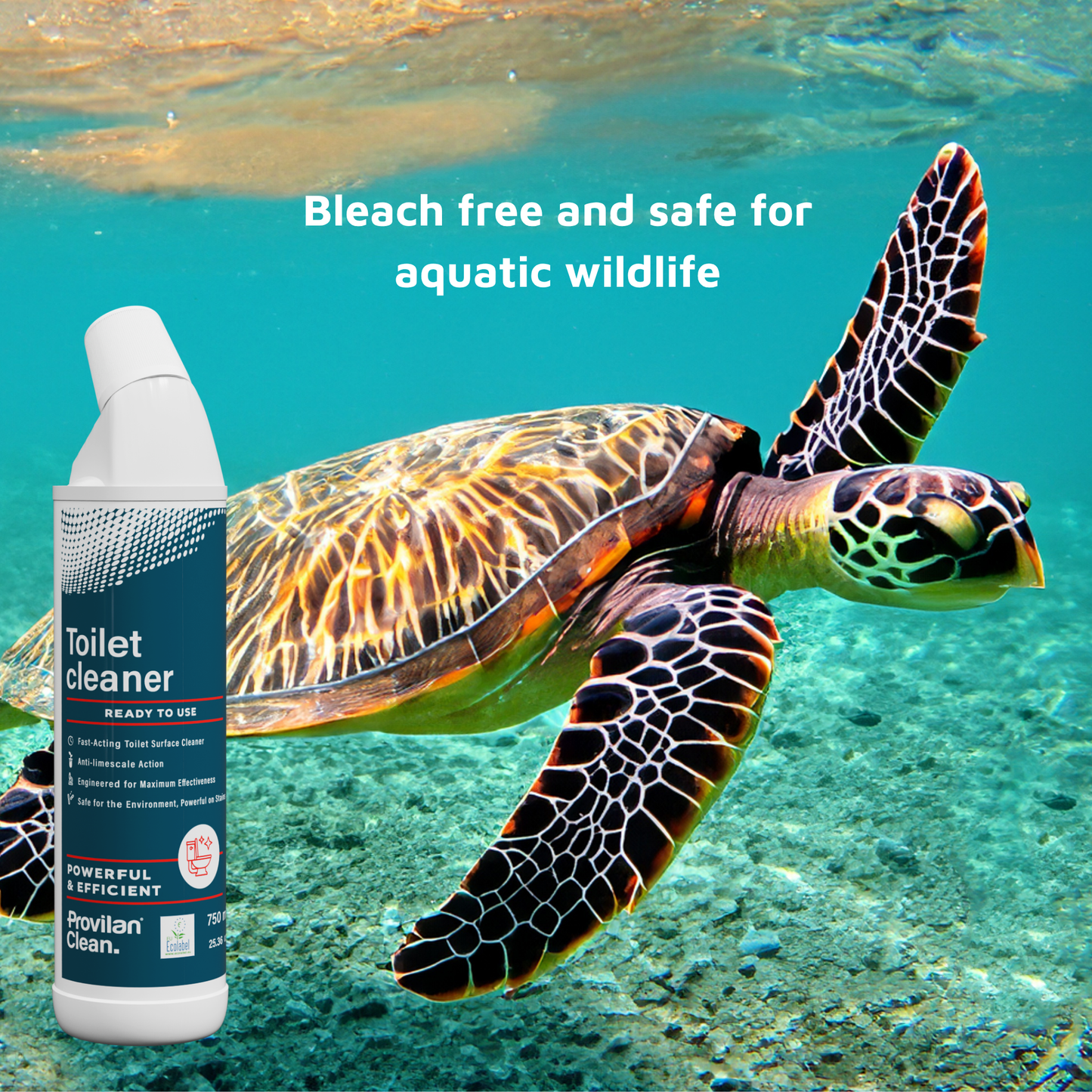 Natural Toilet Cleaner