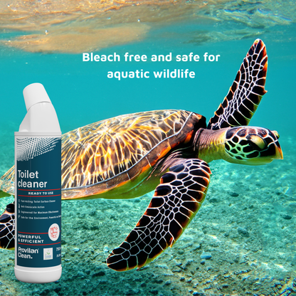 Natural Toilet Cleaner