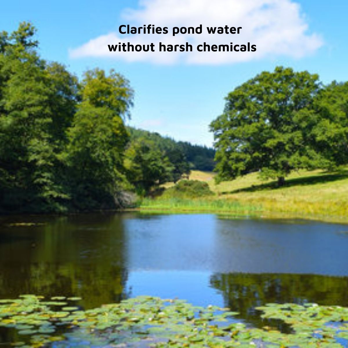 Probiotic Water Purifier