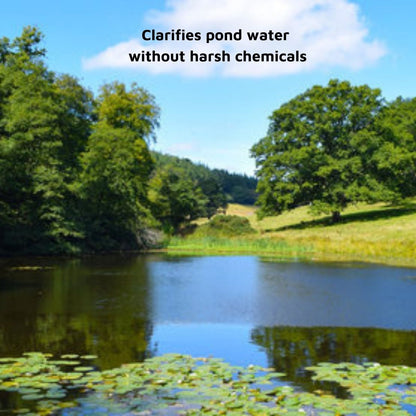 Probiotic Water Purifier