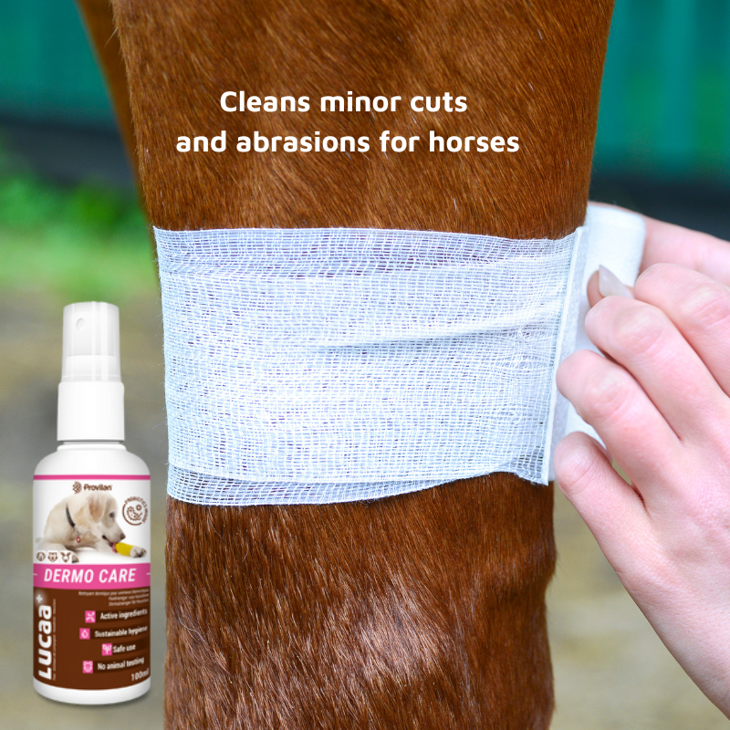Pet Probiotic Dermo (Wound) Care - 100ml Spray