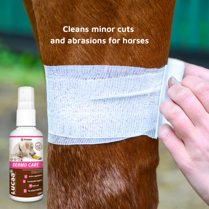 Pet Probiotic Dermo (Wound) Care - 100ml Spray