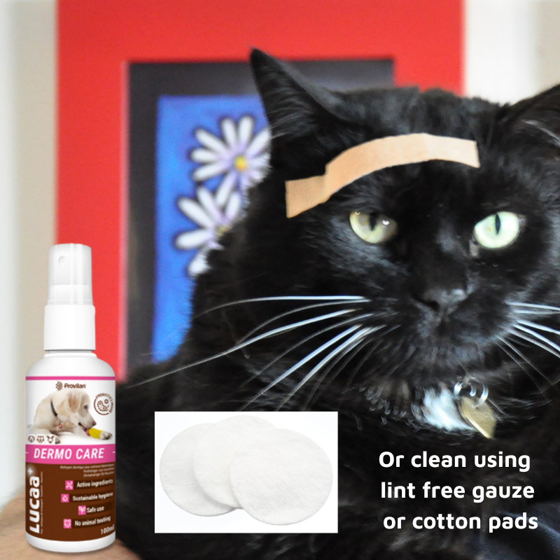 Pet Probiotic Dermo (Wound) Care - 100ml Spray