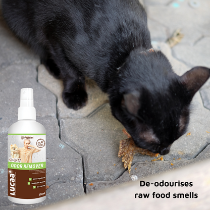 Pet Probiotic Odour Remover - 300ml Spray