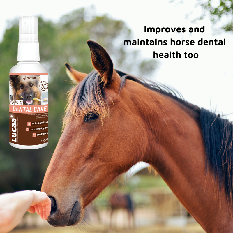 Pet Probiotic Dental Care - 100ml Spray