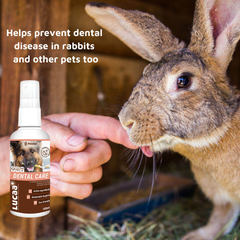 Pet Probiotic Dental Care - 100ml Spray