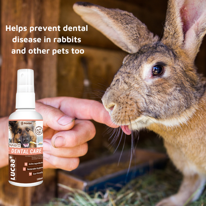 Pet Probiotic Dental Care - 100ml Spray