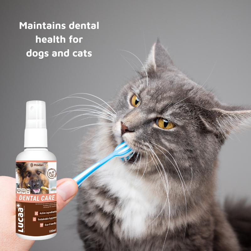 Pet Probiotic Dental Care - 100ml Spray