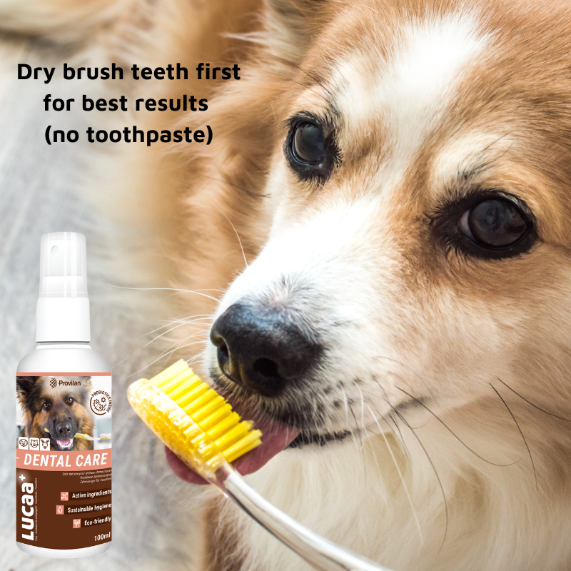 Pet Probiotic Dental Care - 100ml Spray