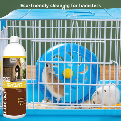 Pet Friendly Surface Spray