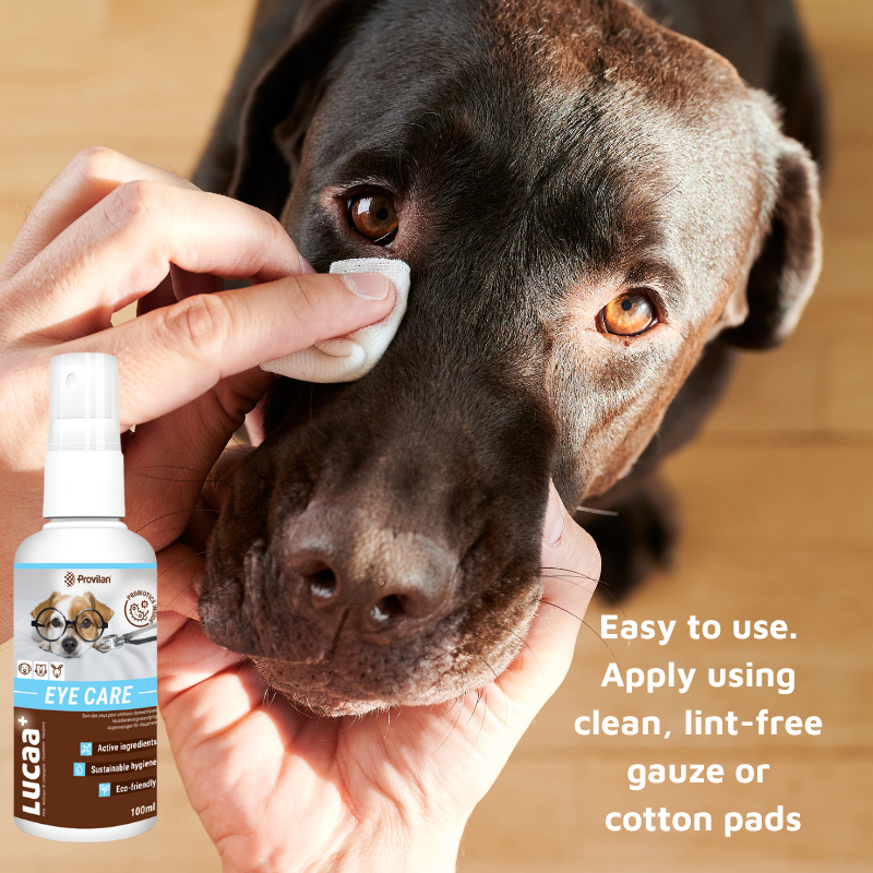Eye Care Spray Cleaner for Cats Dogs Ingenious Probiotics