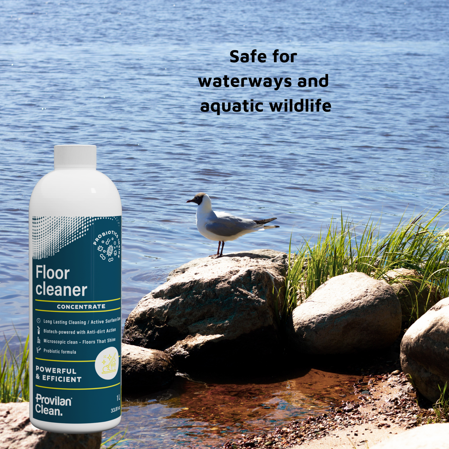 Probiotic Floor Cleaner Concentrate