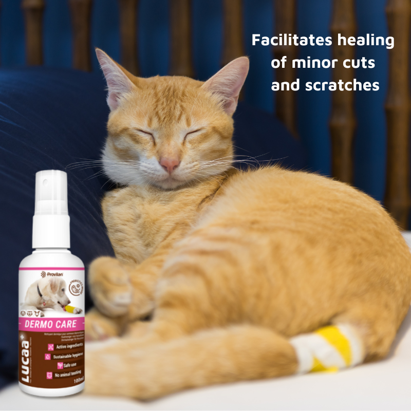 Pet Probiotic Dermo (Wound) Care - 100ml Spray
