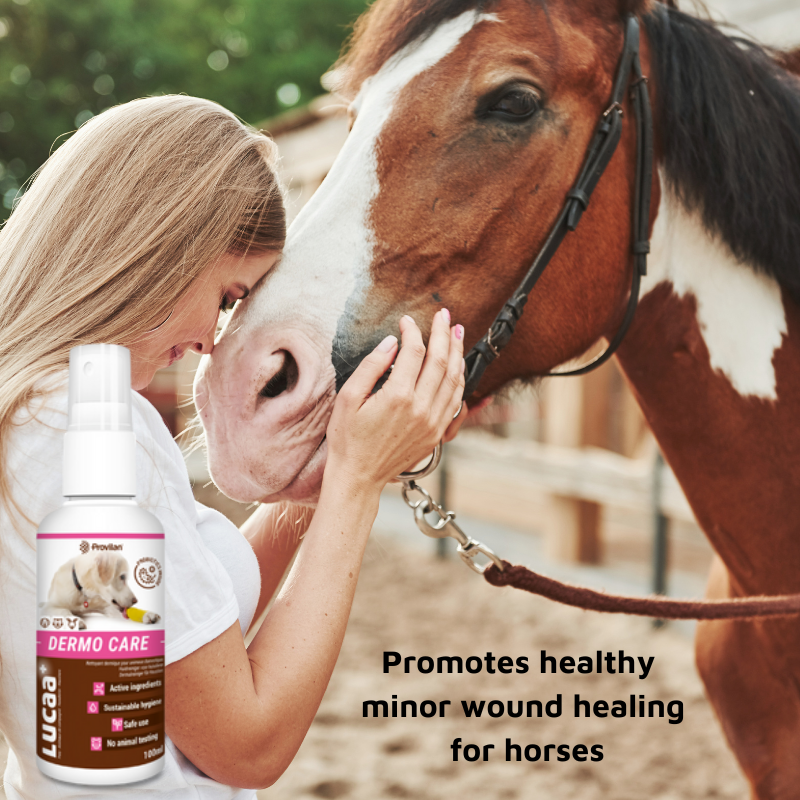 Pet Probiotic Dermo (Wound) Care - 100ml Spray