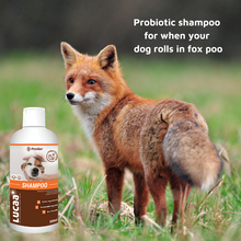 Pet Probiotic Shampoo