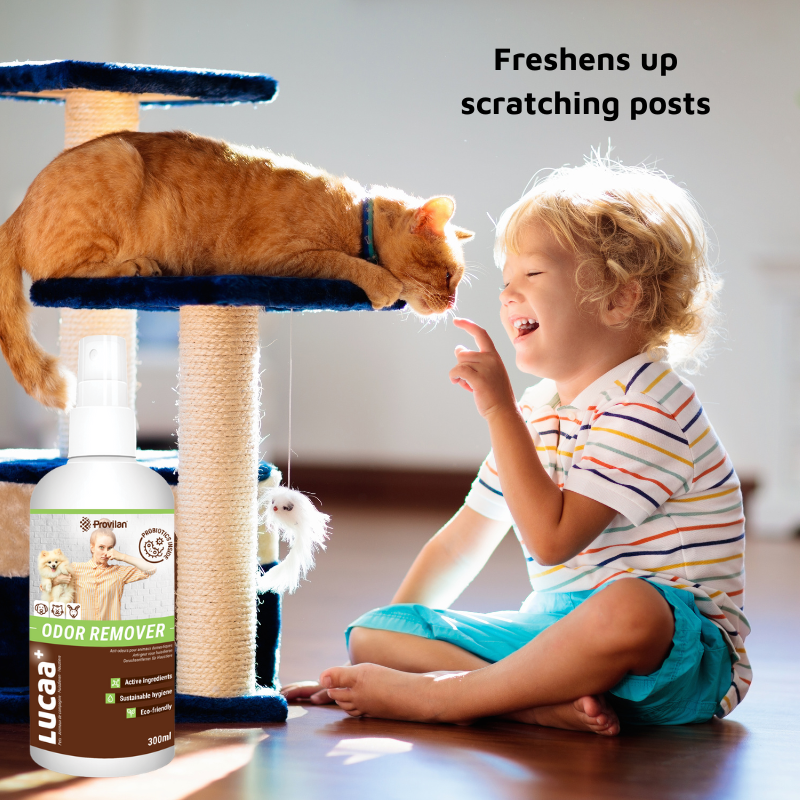 Pet Probiotic Odour Remover - 300ml Spray