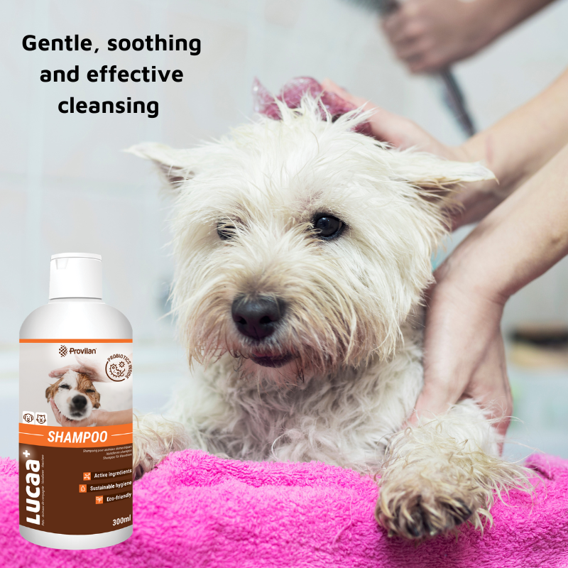 Pet Probiotic Shampoo