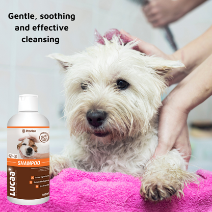 Pet Probiotic Shampoo