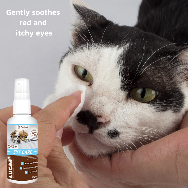 Pet Probiotic Eye Care - 100ml Spray