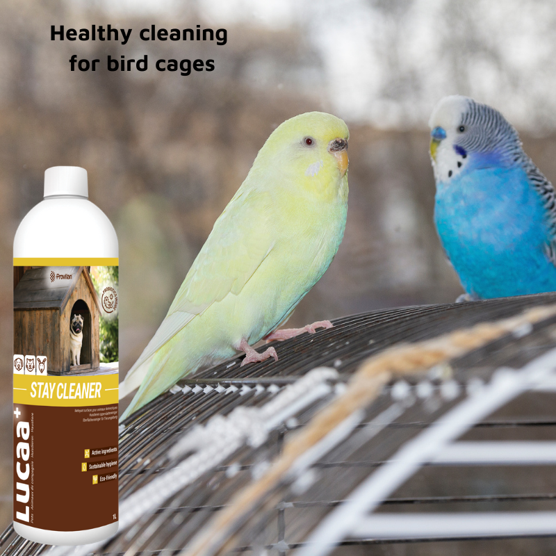Pet Friendly Surface Spray