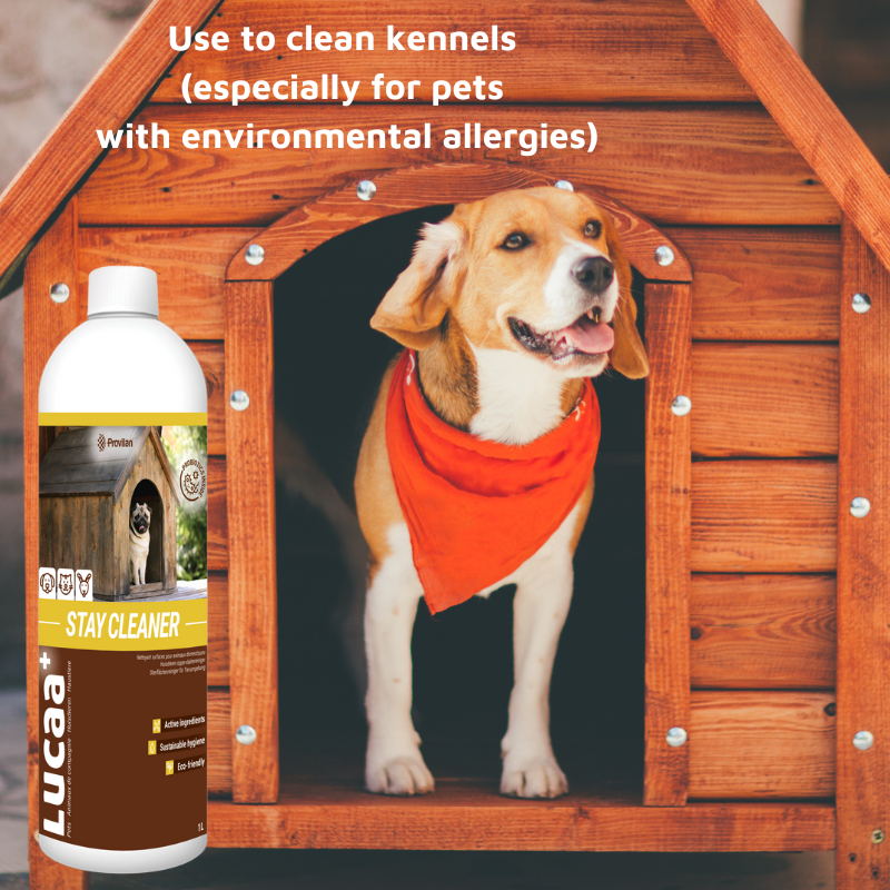 Pet Friendly Surface Spray