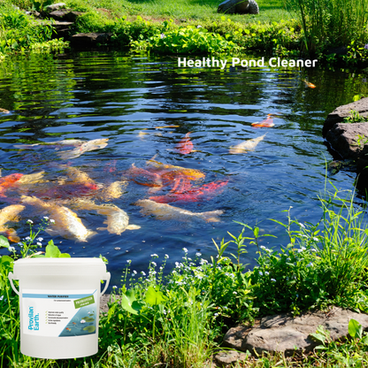 Provilan Earth Water Purifier