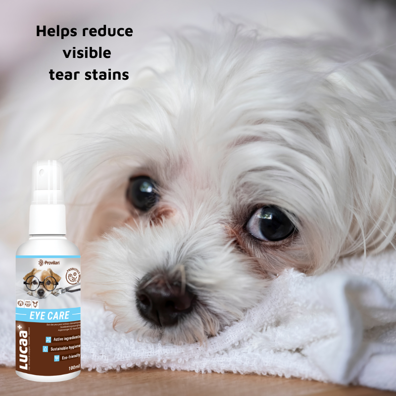 Pet Probiotic Eye Care - 100ml Spray