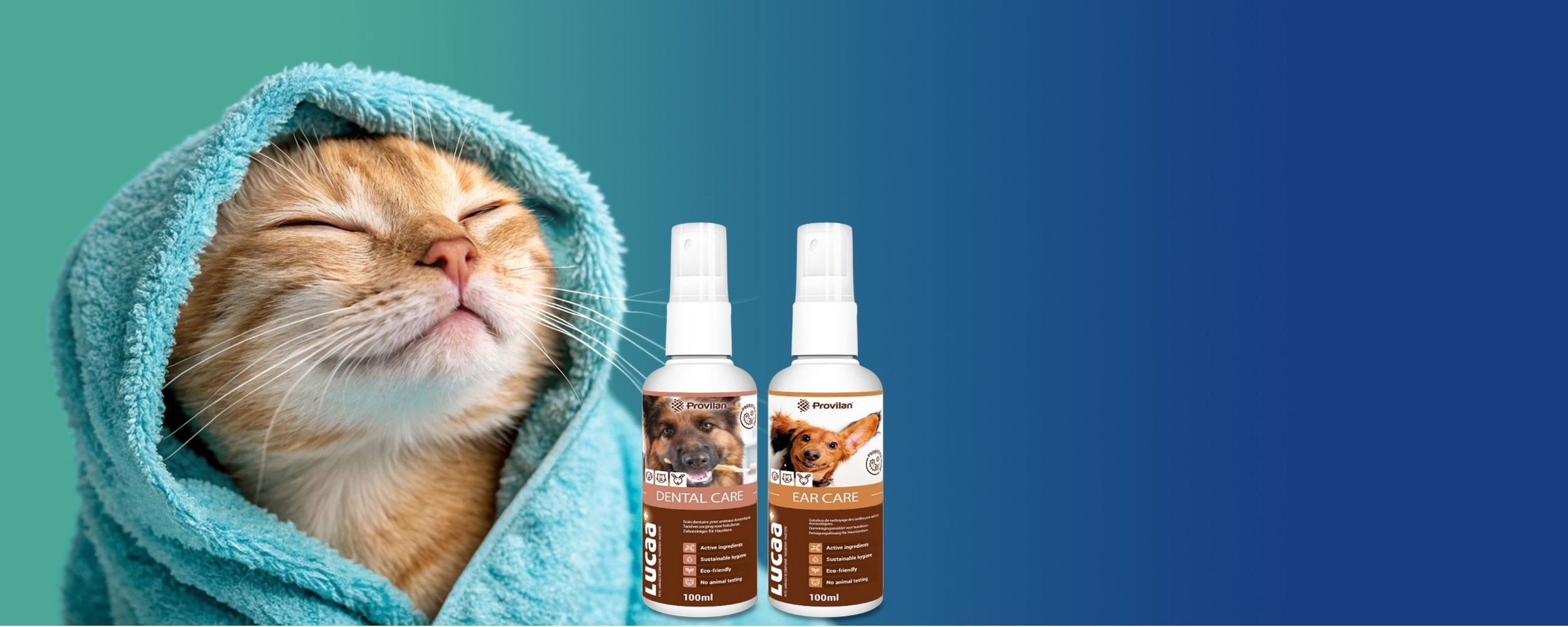 ingenious probiotics